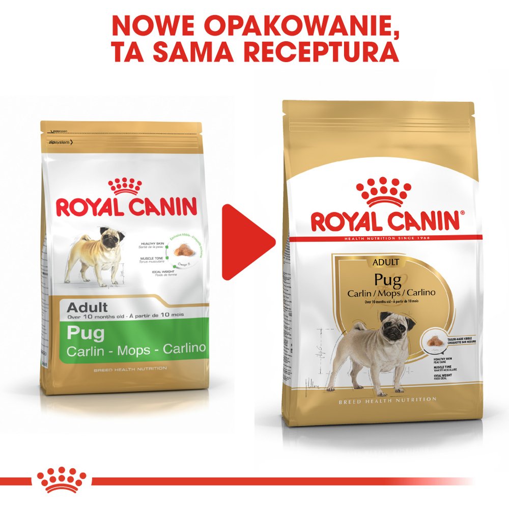ROYAL CANIN Pug Adult 1,5kg - obrazek 8