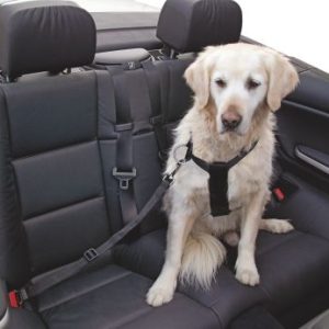 KERBL Pas Bezpieczeństwa M Dla Psa 50-70cm