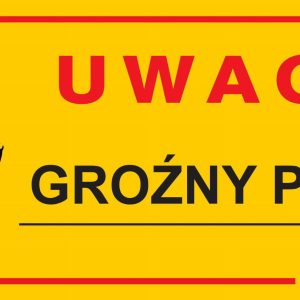 Dingo Metalowa Tabliczka Ostrzegawcza "Uwaga Groźny Pies"