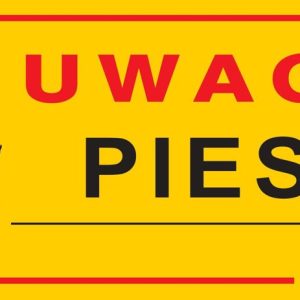 Dingo Metalowa Tabliczka Ostrzegawcza "Uwaga Pies"