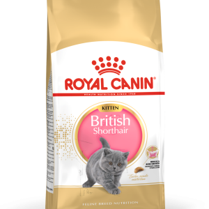 ROYAL CANIN British Shorthair Kitten 10kg