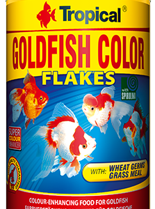Tropical Goldfish Color 100ml