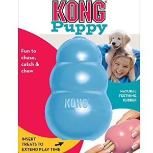 KONG Company Puppy M
