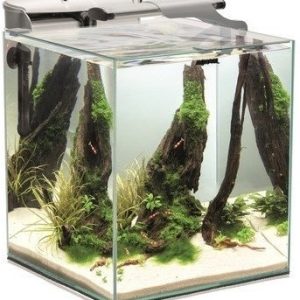 AQUAEL Zestaw Shrimp Set DUO 49l Biały