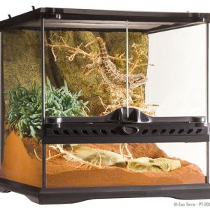 Exoterra Terrarium Szklane Mini 30x30x30cm