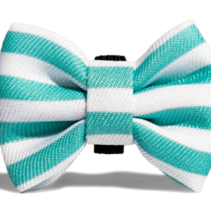 ZEE DOG Muszka Dla Psa Floryda S