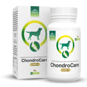 POKUSA ChondroLine ChondroCare 120 tab.