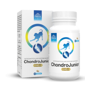 POKUSA ChondroLine ChondroJunior 120 tab.