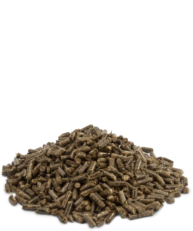 Versele-Laga Crispy Pellets Guinea Pigs 2kg - obrazek 2