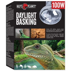 REPTI PLANET Żarówka Daylight Basking Spot 100W