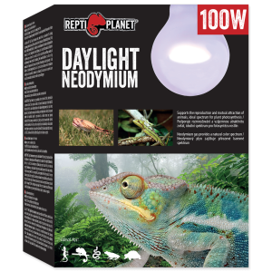REPTI PLANET Żarówka Daylight Neodymium 100W