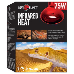 REPTI PLANET Żarówka Infrared HEAT 75W